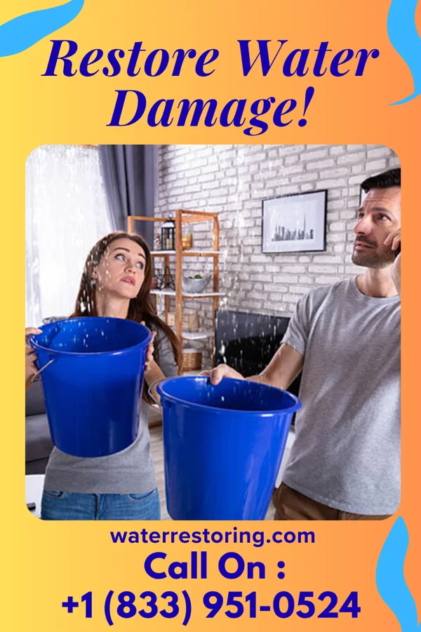 water restoration Modern Water Damage Pros New Glarus