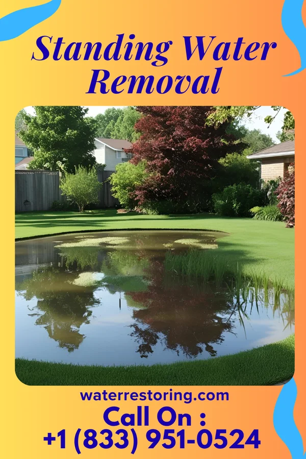 Standing Water Removal in New Glarus, WI